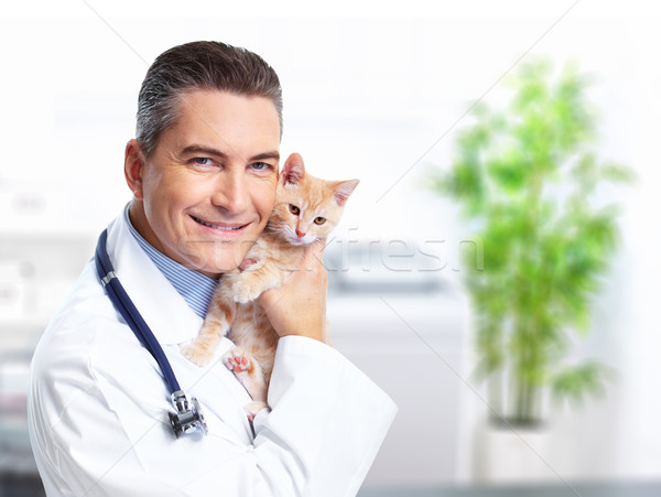 Foto stock: Médico · veterinario · sonriendo · gato · médicos · fondo