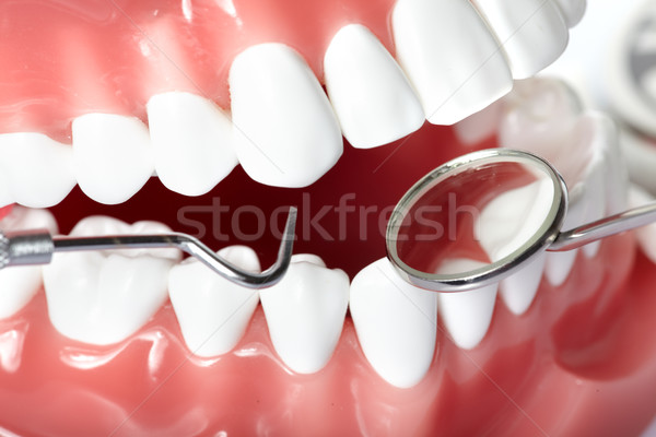 Teeth Stock photo © Kurhan