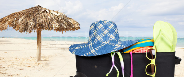 Koffer bikini Sonnenbrillen bereit Urlaub Strand Stock foto © Kurhan