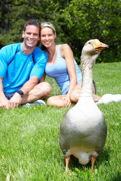 Stockfoto: Gans · jonge · liefhebbend · paar · ontspannen