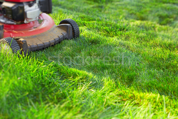 Lawn mower cutting green grass. Stock photo © Kurhan