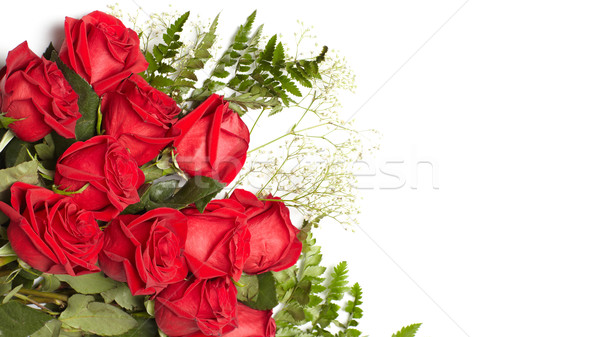 Kırmızı gül güzel çiçek tebrik kartı sevmek gül Stok fotoğraf © Kurhan