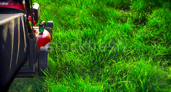 Lawn mower. Stock photo © Kurhan