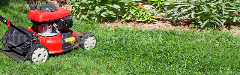 Fűnyíró piros zöld fű udvar fű munka Stock fotó © Kurhan