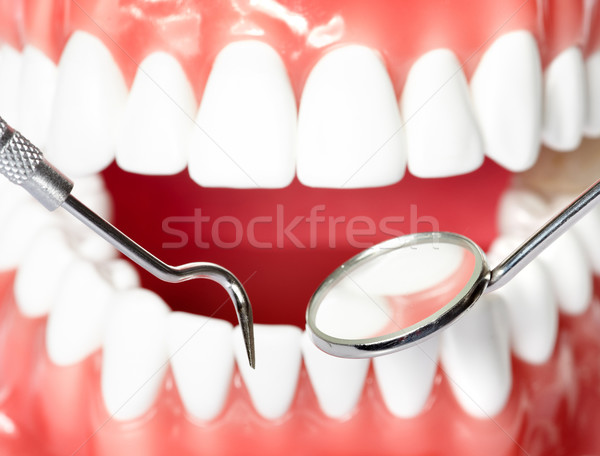 Teeth Stock photo © Kurhan