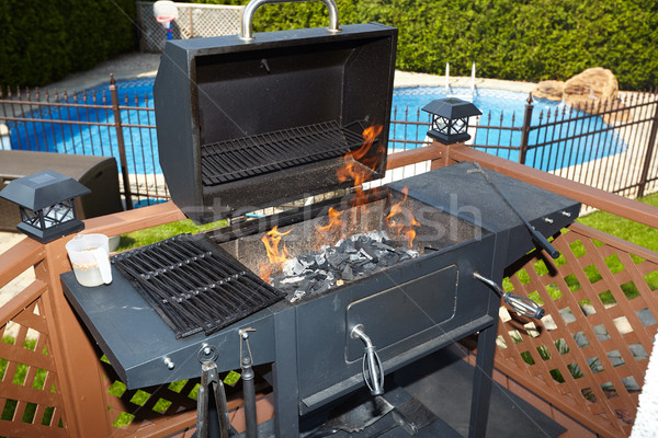 Barbecue vide prêt cuisson alimentaire fête [[stock_photo]] © Kurhan