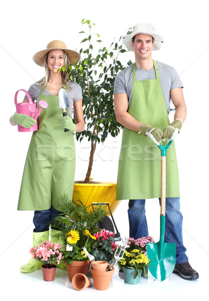 Gardening Stock photo © Kurhan