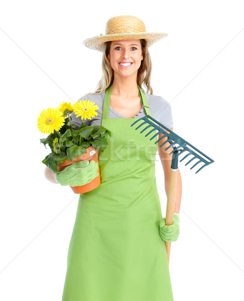 Foto stock: Jardinería · mujer · trabajador · flores · aislado · blanco