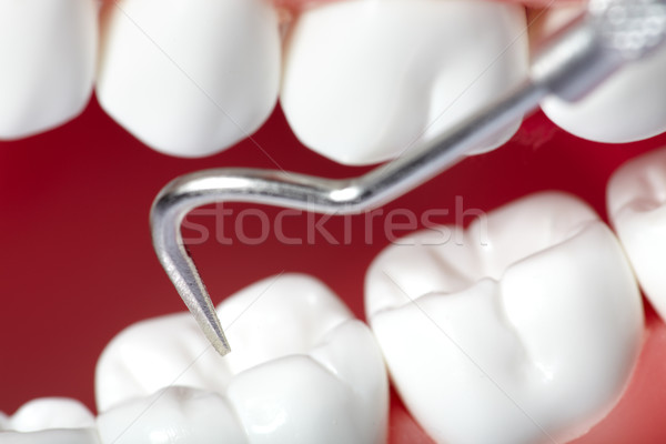 Dents saine humaine dentaires fond bouche Photo stock © Kurhan
