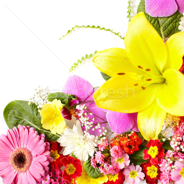 Floral Grußkarte schönen Blumen isoliert weiß Stock foto © Kurhan