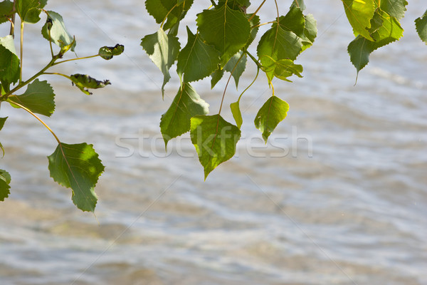 River. Stock photo © Kurhan