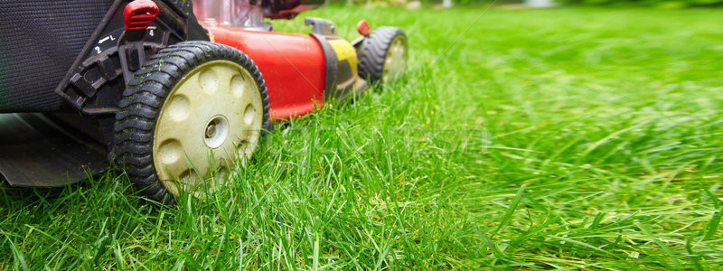 Stock photo: Lawn mower