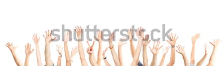 Las manos en alto manos aislado blanco mano mujeres Foto stock © Kurhan