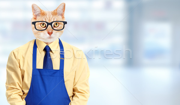 Ginger cat worker. Stock photo © Kurhan
