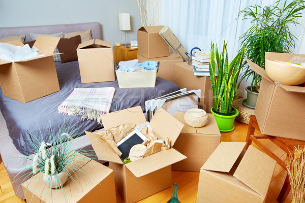 Moving boxes in new house. Stock photo © Kurhan