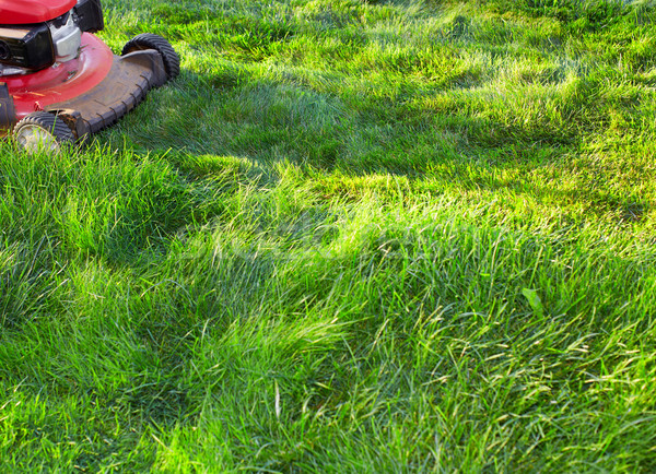 Groen gras werk tuin voorjaar Stockfoto © Kurhan