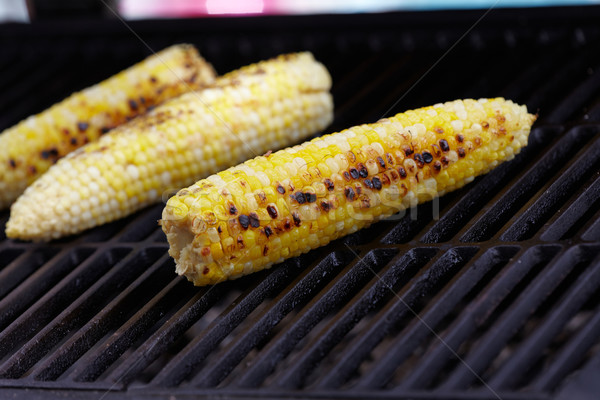 Corn roast on barbecue grille. Stock photo © Kurhan