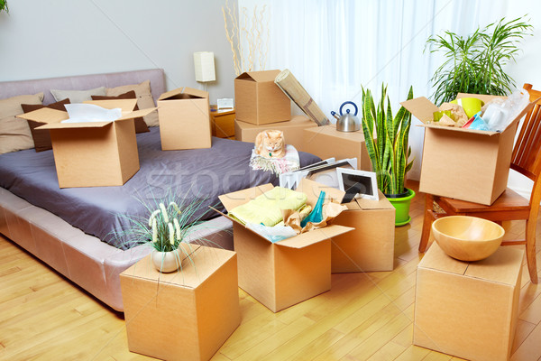 Költözködő dobozok új ház ingatlan ház doboz bútor Stock fotó © Kurhan