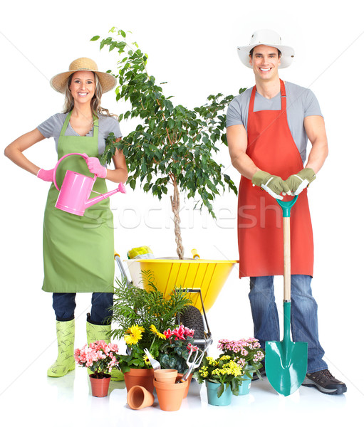 Stok fotoğraf: Bahçıvanlık · insanlar · işçiler · çiçekler · yalıtılmış · beyaz