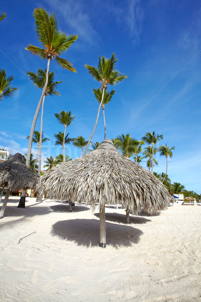 Punta Cana beach. Stock photo © Kurhan