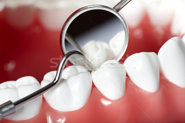 Teeth Stock photo © Kurhan