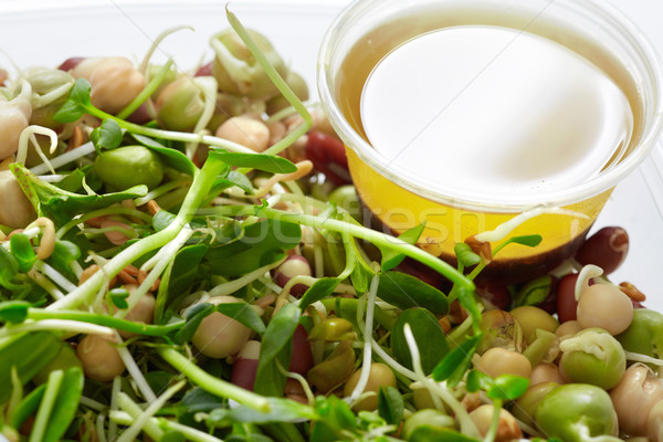Micro greens salad. Stock photo © Kurhan
