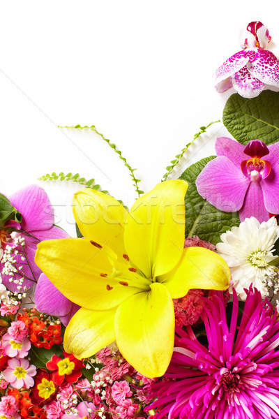 Virágmintás üdvözlőlap gyönyörű virágok izolált fehér Stock fotó © Kurhan