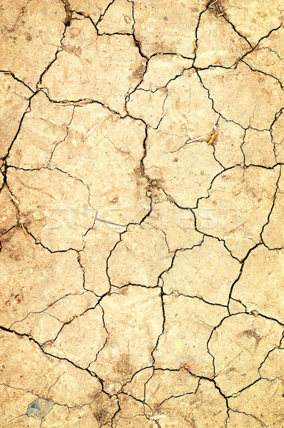 dry ground Stock photo © Kurhan