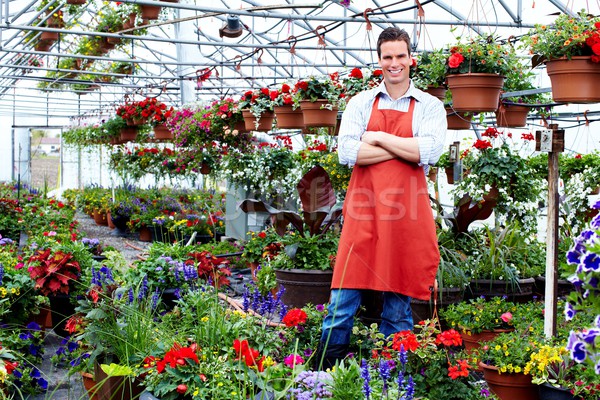 Florist man working with flowers in greenhouse. Stock photo © Kurhan
