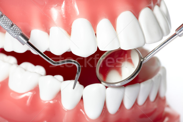 Stock photo: Teeth
