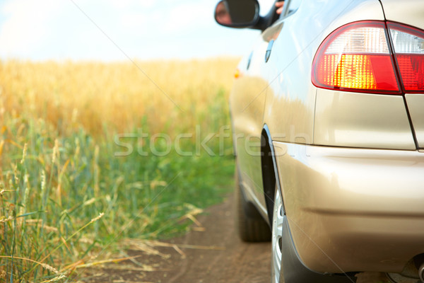 Autó új autó mező nő természet biztonság Stock fotó © Kurhan