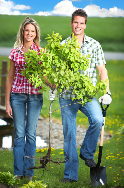 Stock photo: Planting