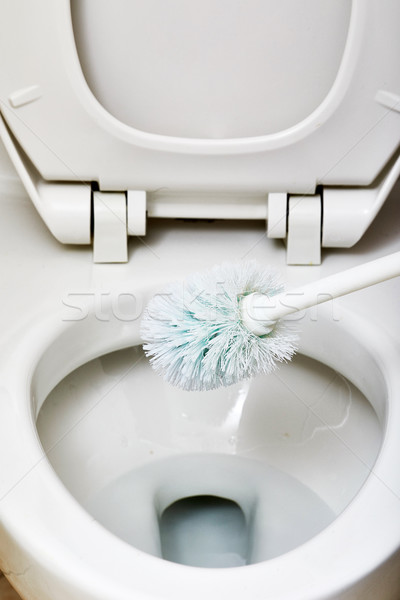 Flush toilet bowl cleaning. Stock photo © Kurhan