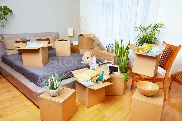 Moving boxes in new house. Stock photo © Kurhan