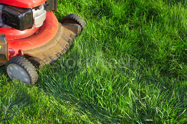 Lawn mower cutting green grass. Stock photo © Kurhan
