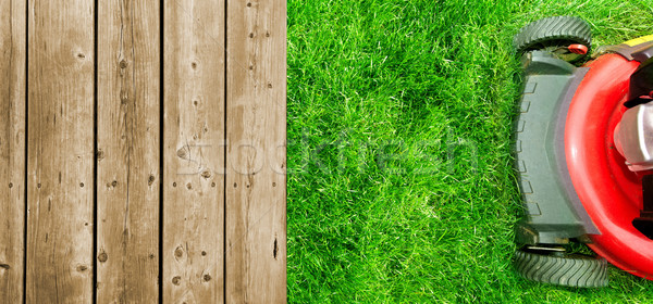 Hierba verde hierba trabajo naturaleza Foto stock © Kurhan