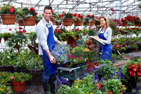 Florista de trabajo flores invernadero jardinería personas Foto stock © Kurhan