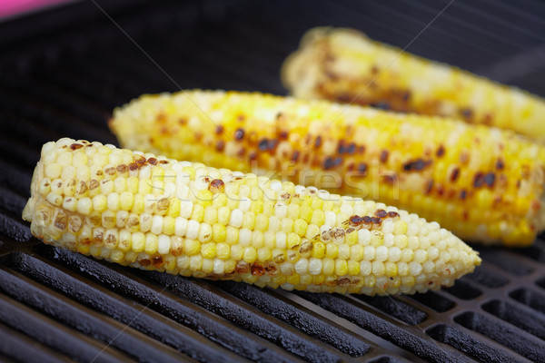 Corn roast on barbecue grille. Stock photo © Kurhan