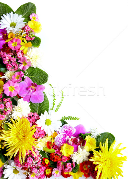 Floral greeting card with beautiful flowers. Stock photo © Kurhan