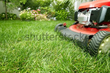 Stock photo: Lawn mower cutting the grass.