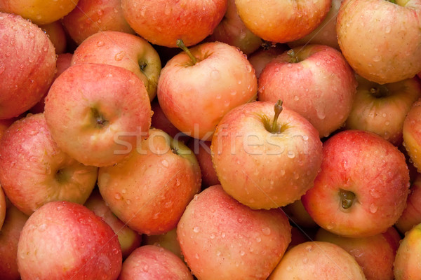 Fresh Organic Red Apples  Stock photo © Kuzeytac