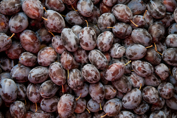 Heap Of Fresh Organic Purple  Damson Plums  Stock photo © Kuzeytac