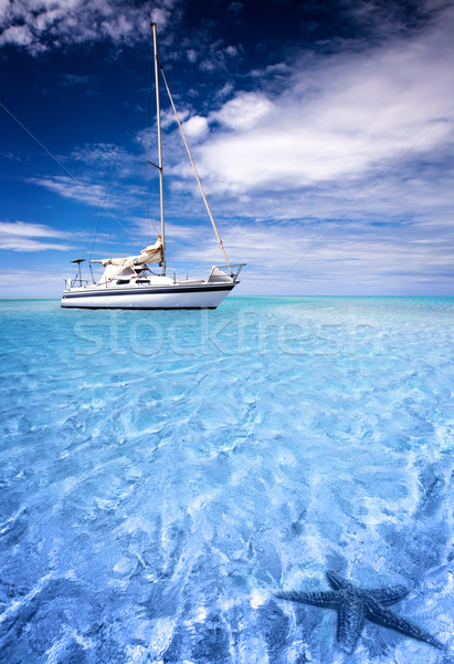 Tropische zeilen boot mooie zeester voorgrond Stockfoto © kwest