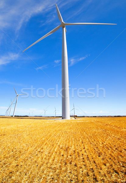 Naturalnych energii farma wiatrowa wiejski charakter Zdjęcia stock © kwest