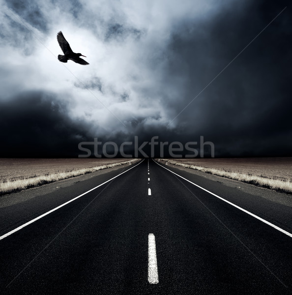 Orageux oiseau loin route paysage église Photo stock © kwest