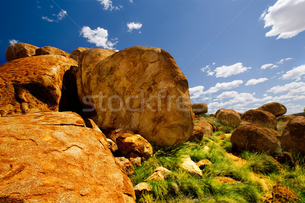 Murmeln nördlich Bereich Himmel Baum Natur Stock foto © kwest