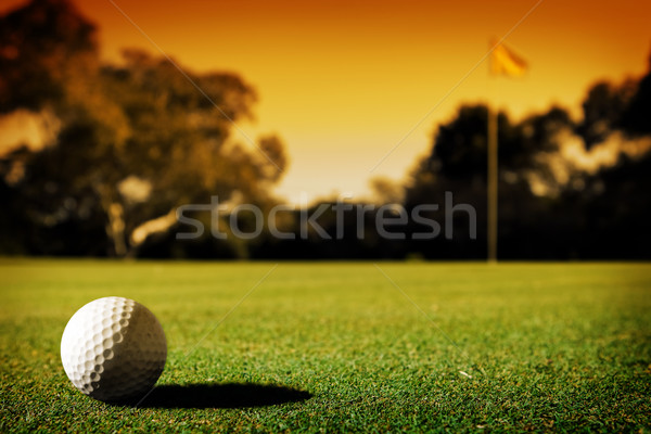 長 綠色 日落 高爾夫球 運動 旗 商業照片 © kwest