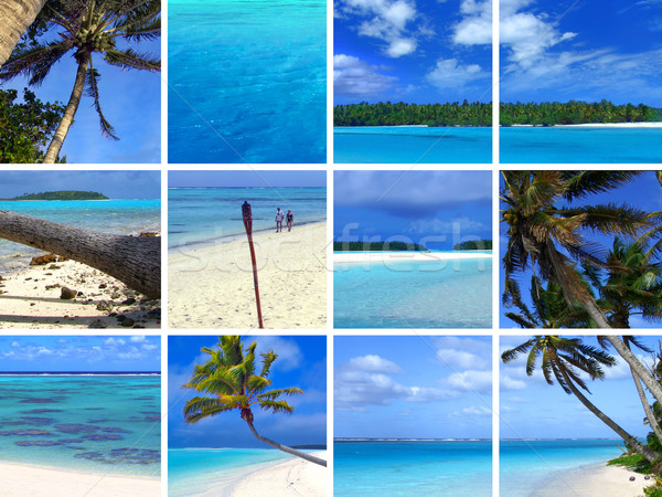 Tropicales montage ciel nature mer Palm Photo stock © kwest