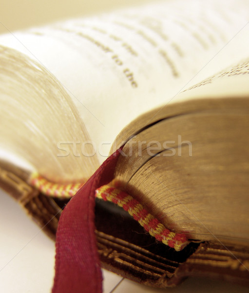 İncil açmak okuma Tanrı dua okumak Stok fotoğraf © kwest