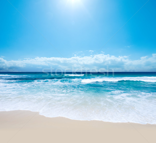 A Piece of Paradise Stock photo © kwest